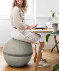 fauteuil ergonomique réglable et ajustable pour la prévention des TMS, idéal entreprise, open space, santé des collaborateurs