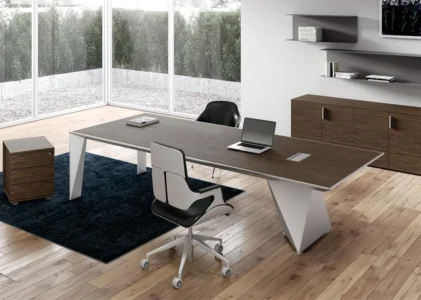 bureau de direction moderne, design, pour un espace de direction dans une entreprise