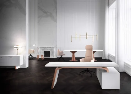 bureau de direction moderne, design, pour un espace de direction dans une entreprise