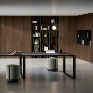 une ou plusieurs armoires en solutions de rangement avec finition métal, bois, dans un espace de travail, idéal pour un bureau d'entreprise, pour du rangement ou du classement