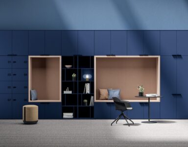 une ou plusieurs armoires en solutions de rangement avec finition métal, bois, dans un espace de travail, idéal pour un bureau d'entreprise, pour du rangement ou du classement