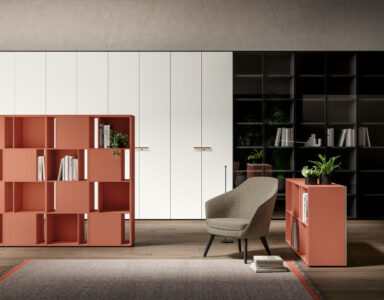 une ou plusieurs armoires en solutions de rangement avec finition métal, bois, dans un espace de travail, idéal pour un bureau d'entreprise, pour du rangement ou du classement