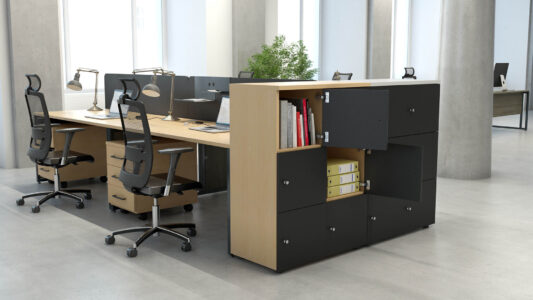 une ou plusieurs armoires en solutions de rangement avec finition métal, bois, dans un espace de travail, idéal pour un bureau d'entreprise, pour du rangement ou du classement