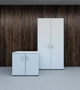 une ou plusieurs armoires en solutions de rangement avec finition métal, bois, dans un espace de travail, idéal pour un bureau d'entreprise, pour du rangement ou du classement