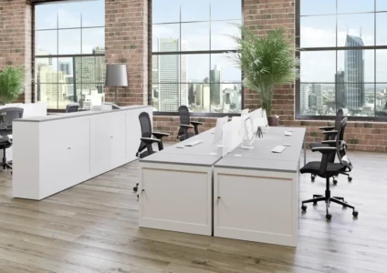 une ou plusieurs armoires en solutions de rangement avec finition métal, bois, dans un espace de travail, idéal pour un bureau d'entreprise, pour du rangement ou du classement