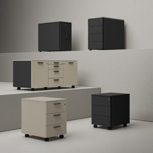 un ou plusieurs caissons avec finition métal, bois, dans un espace de travail, idéal pour un bureau d'entreprise, pour du rangement ou du classement