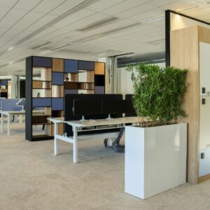 plantes végétales ou décoratives pour l'environnement de bureau, bien être des collaborateurs