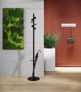 plantes végétales ou décoratives pour l'environnement de bureau, bien être des collaborateurs