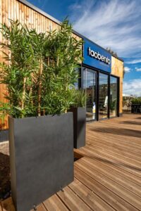 plantes végétales ou décoratives pour l'environnement de bureau, bien être des collaborateurs